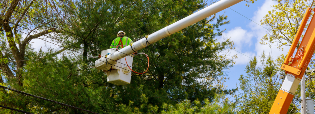 Electricity Services | Arbor Pride