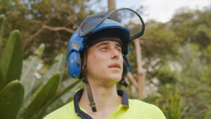Sydney Tree Arborist