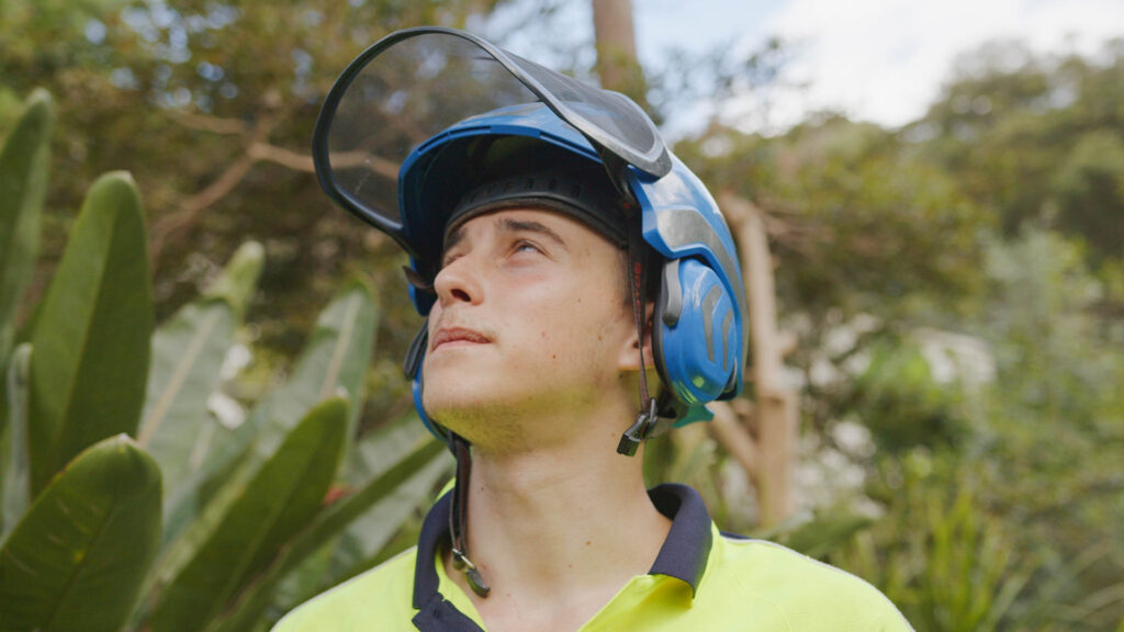 arborist sydney
