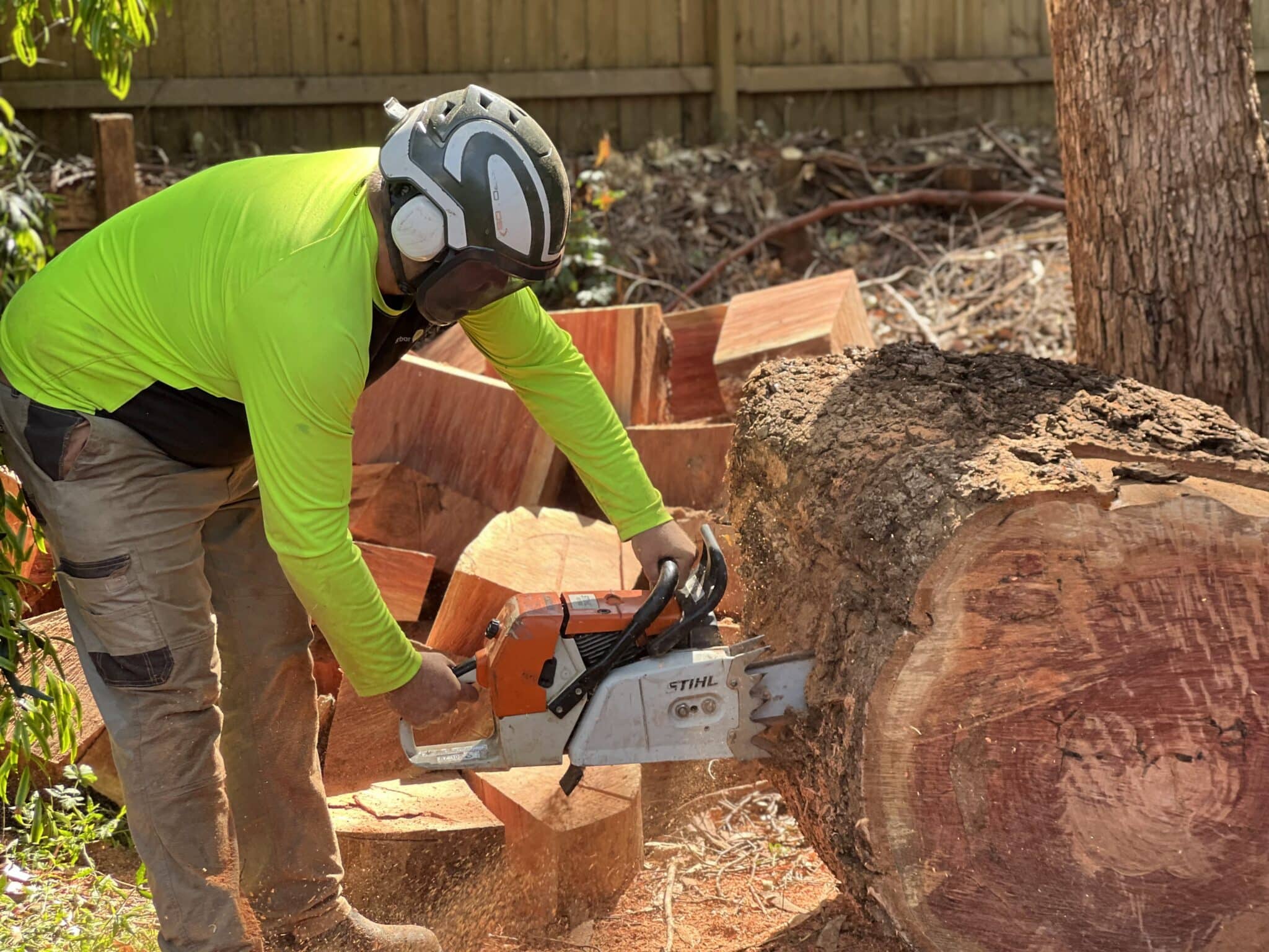 North Shore Tree Removal