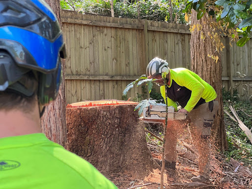 stump-grinding