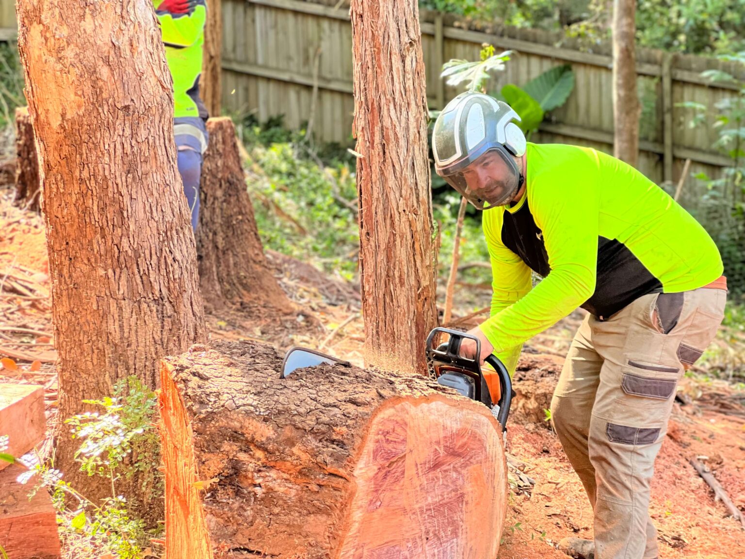 Sydney Arborists | Get A Quote | Arbor Pride Tree Removal Experts
