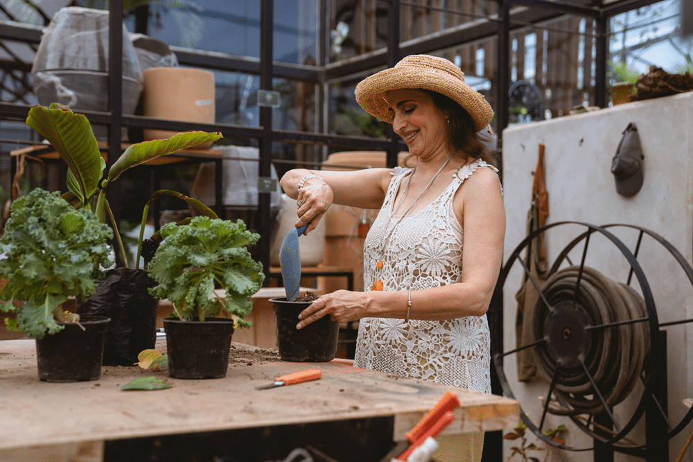A woman wearing a hat is gardening, repotting plants, august gardening jobs in winter sydney