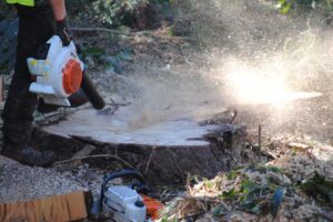 Arborist in hi-vis using a leaf blower to clear sawdust from a freshly cut tree stump, with a chainsaw on the ground beside it